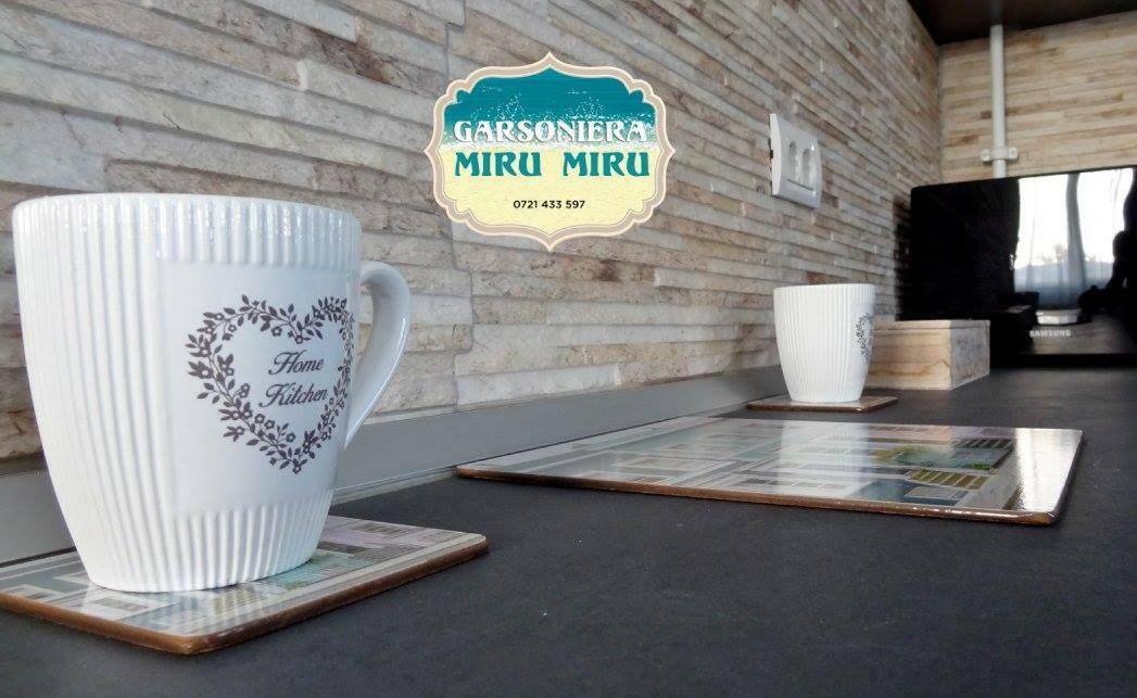 Apartament Garsoniera Miru Miru Năvodari Zewnętrze zdjęcie
